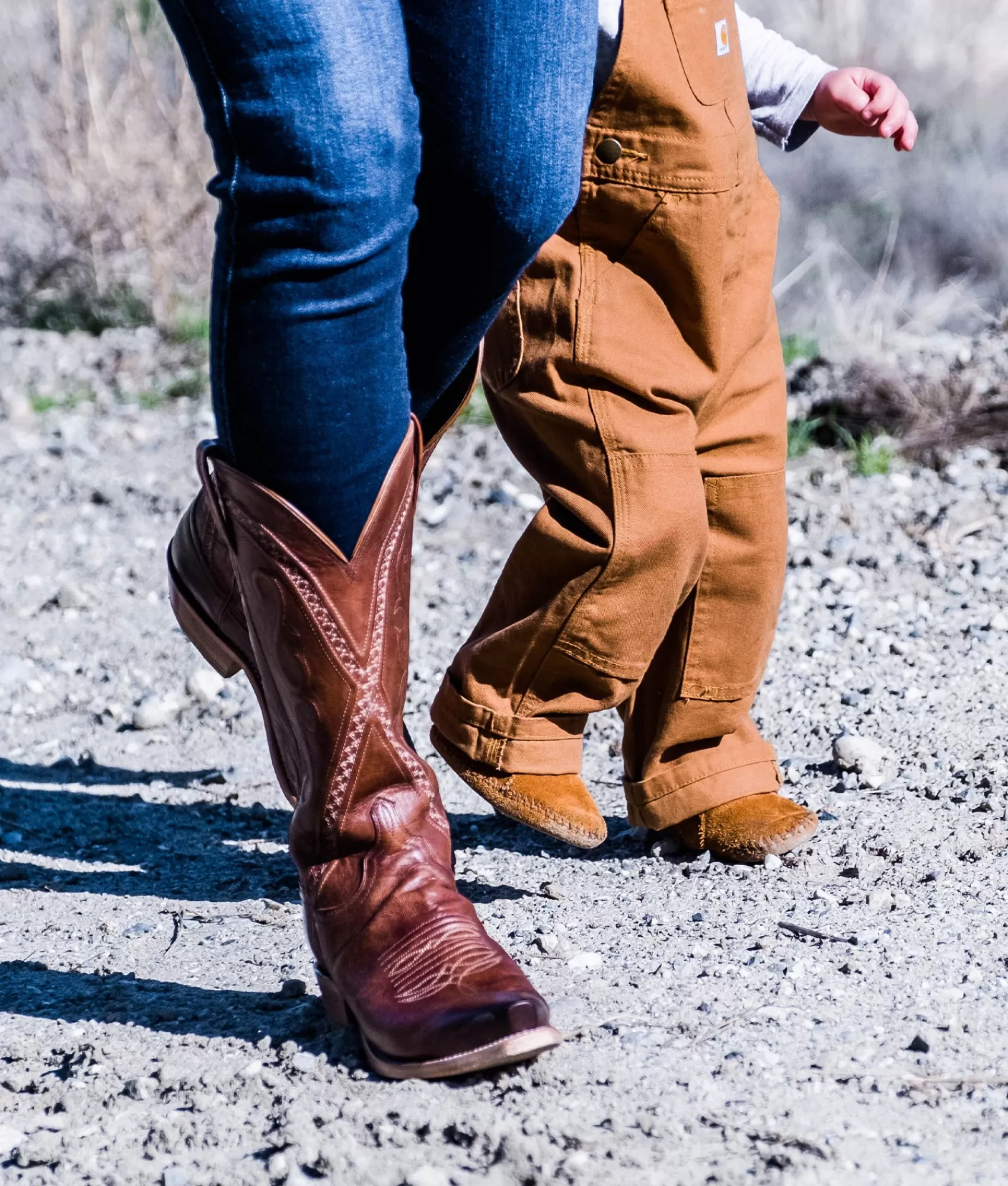 Lucchese Cowboy | Darlene Tan