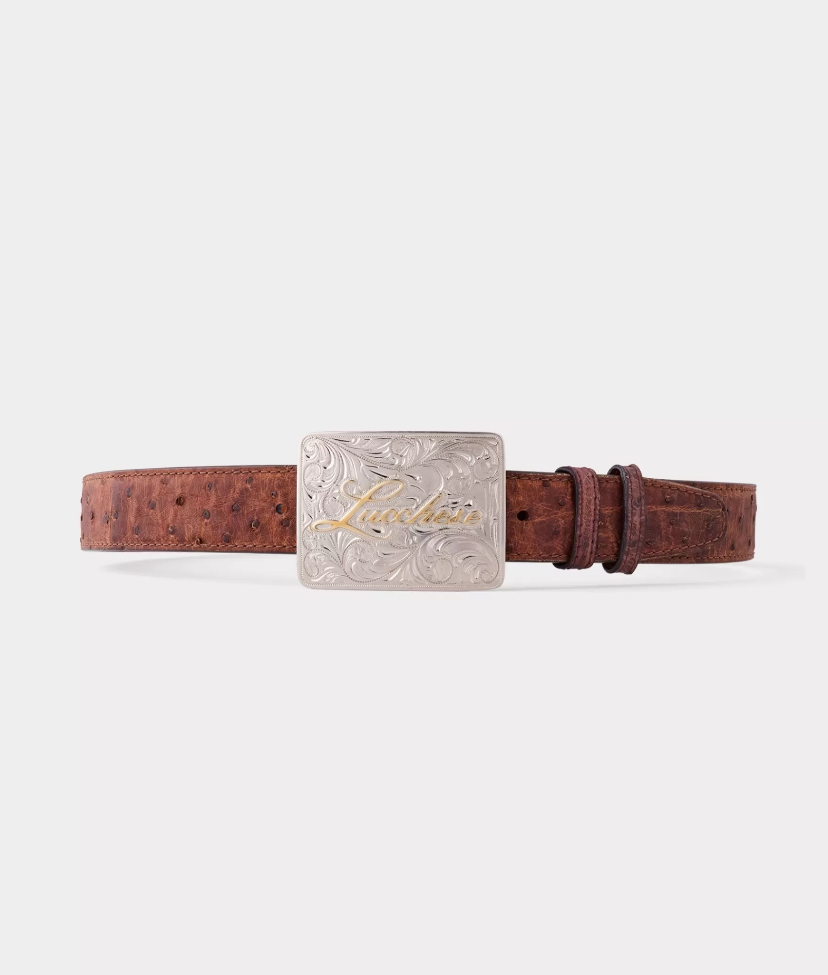 Lucchese Belts & Belt Accessories | Pecan Full Quill Ostrich Memento Belt Tan