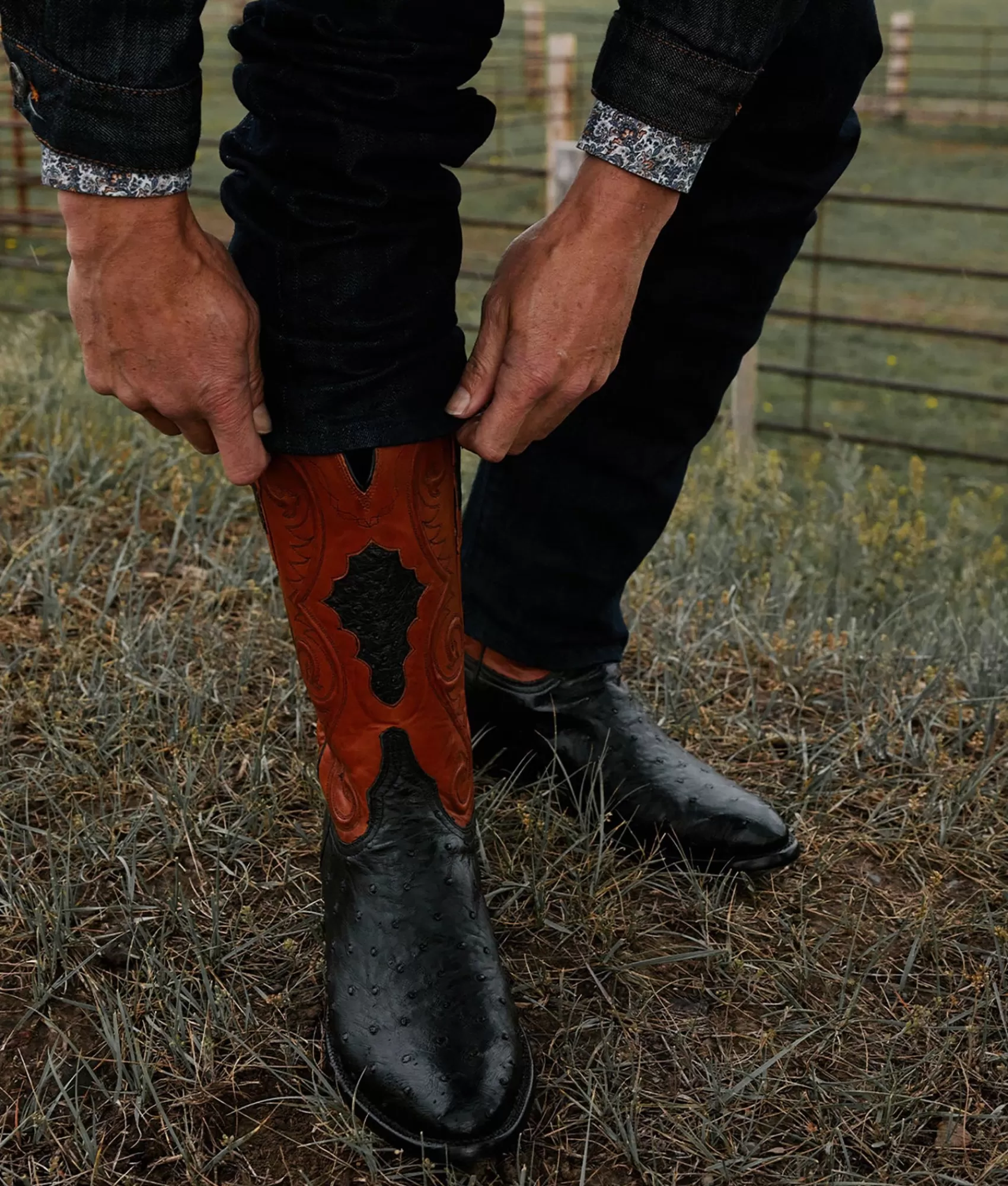 Lucchese Cowboy | Randall Black+Cognac